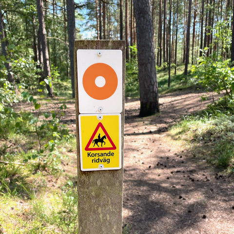 Fritid och friluftsliv